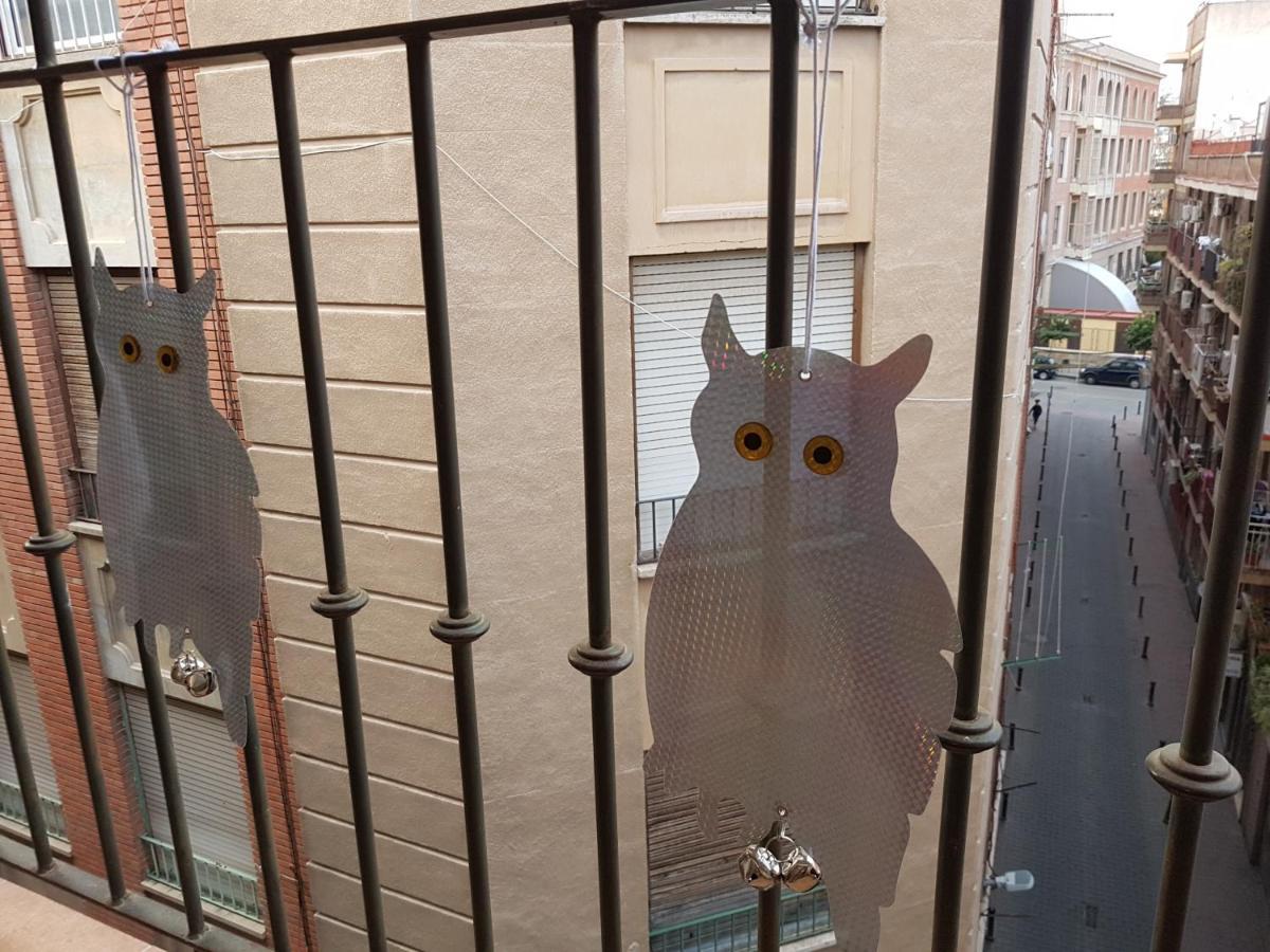 Apartamento Los Buhos Murcia Kültér fotó
